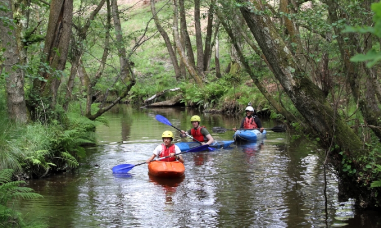 Family kayaking fun